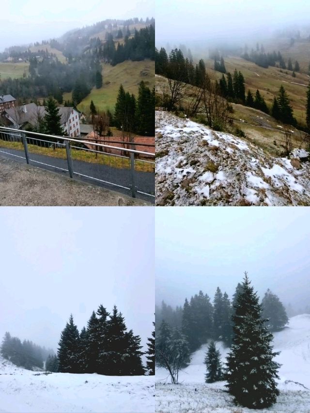 🇨🇭 Cogwheel Train Ride to Mt Rigi 