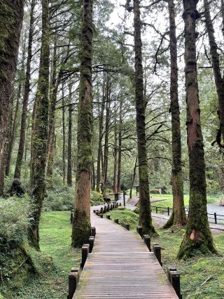 Alishan day trip