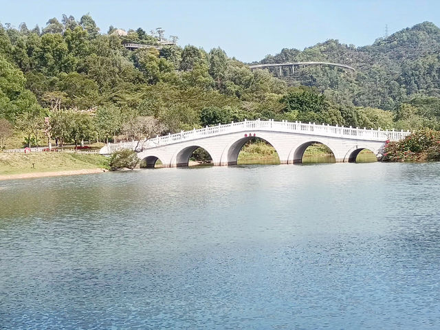 香山湖公園～都市中的綠洲