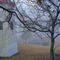 A Peaceful Retreat at Qingjing Farm: My Taiwan Adventure 