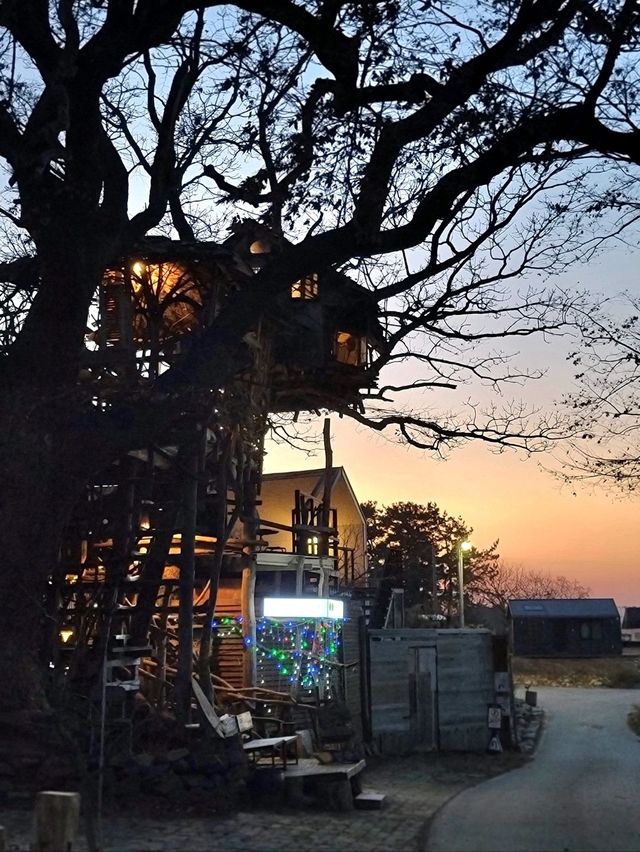 동화속 트리하우스가 있는 독특한 김제여행지🤎