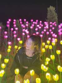 Light in the Garden แสงในสวนสวยครั้งแรกจันทบุรี
