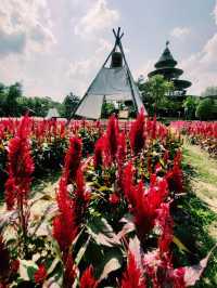  คาเฟ่ทุ่งดอกไม้ : Lapuné Cafe and Scene