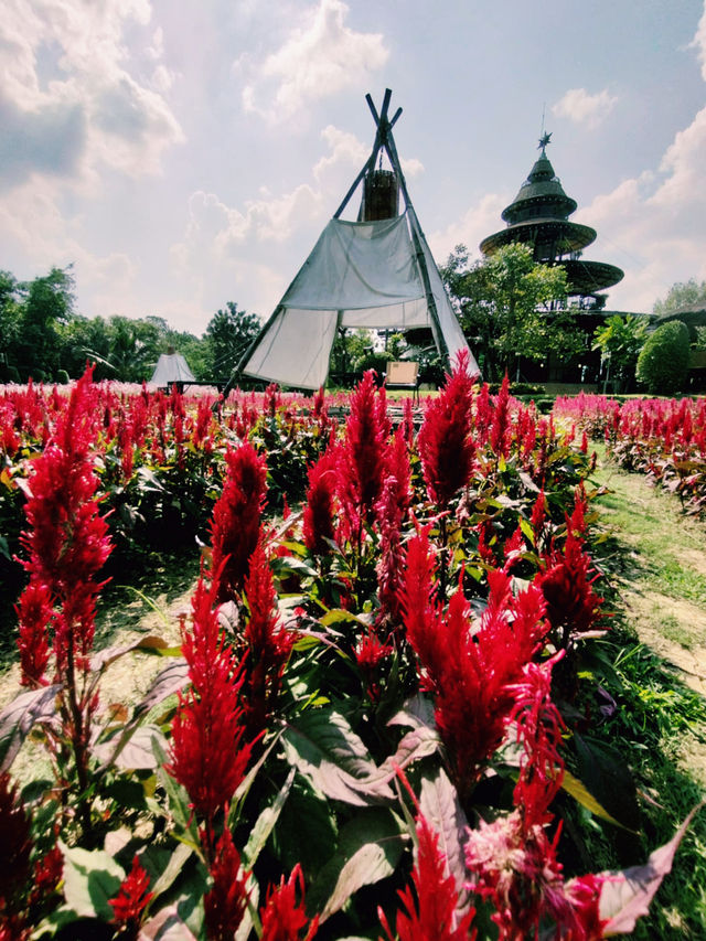  คาเฟ่ทุ่งดอกไม้ : Lapuné Cafe and Scene