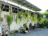 The Barn Brasserie คาเฟ่ย่านบางกรวย นนทบุรี