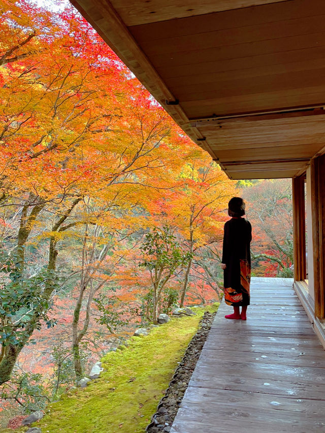 京都観光😊京都の古刹🍁世界遺産のお寺😊