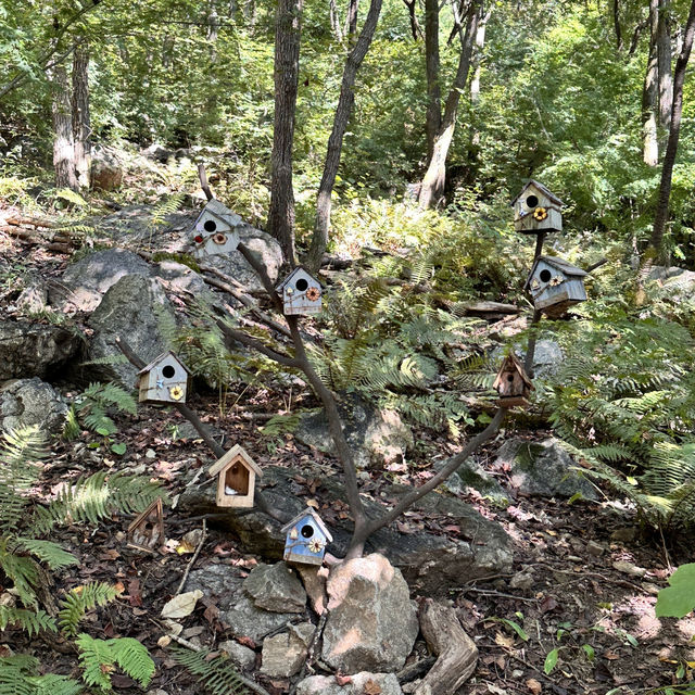 서울 근교 최고의 힐링 자연 스팟 화담숲🌳