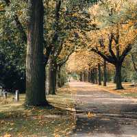  Erfurt Hauptfriedhof：紀念與反思的地方 🌿