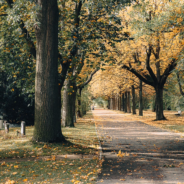  Erfurt Hauptfriedhof：紀念與反思的地方 🌿