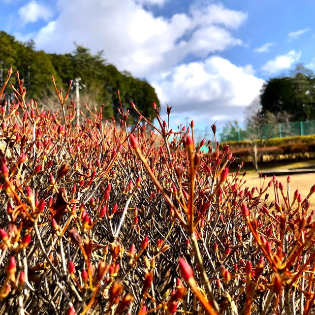 休閒散步⋯磊々峡公園，空氣好🥹心情更加好😁