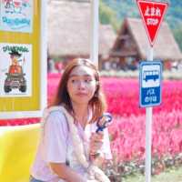 ฮอกไกโด ฟลาวเวอร์ พาร์ค - เขาใหญ่