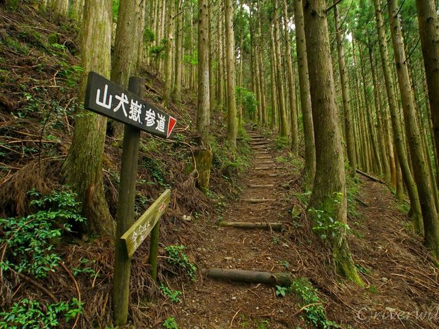 【徳島県】苔の名所でミニお遍路体験も！「山犬嶽」