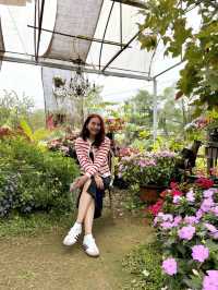 🎄22 Aquarius Glamping Cafe คาเฟ่บนดอยอินทนนท์