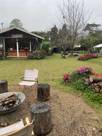 🎄22 Aquarius Glamping Cafe คาเฟ่บนดอยอินทนนท์