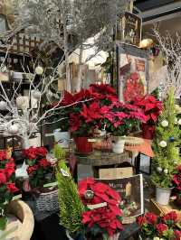 【佐久市🇯🇵】花束お願いするならここ！人情溢れるお花屋さん💐