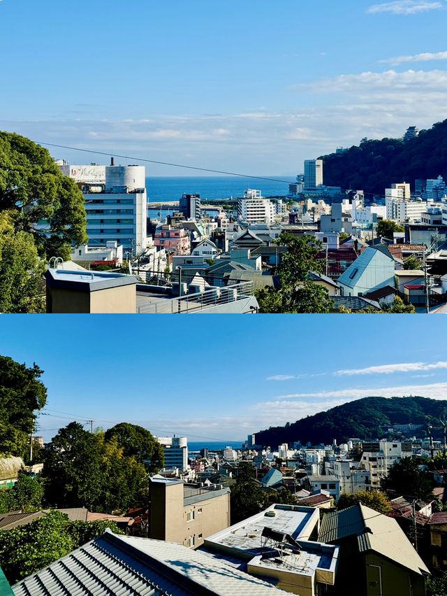 【日本伊東】來宮神社：日本能量景點，樹齡超過2000年的巨楠