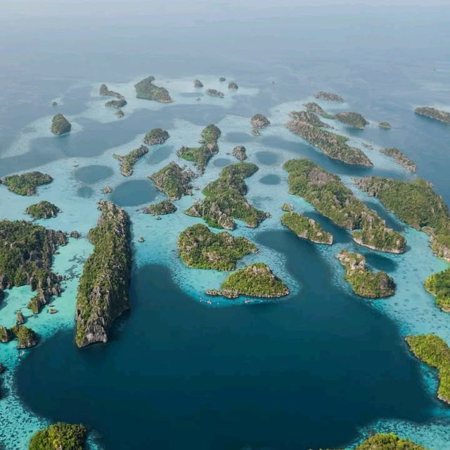 Raja Ampat: A Diver’s Paradise