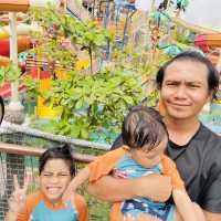 SPLASH MANIA GAMUDA COVE