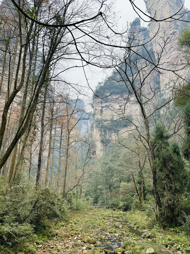 The only 4 day itinerary for ZHANGJIAJIE you need!