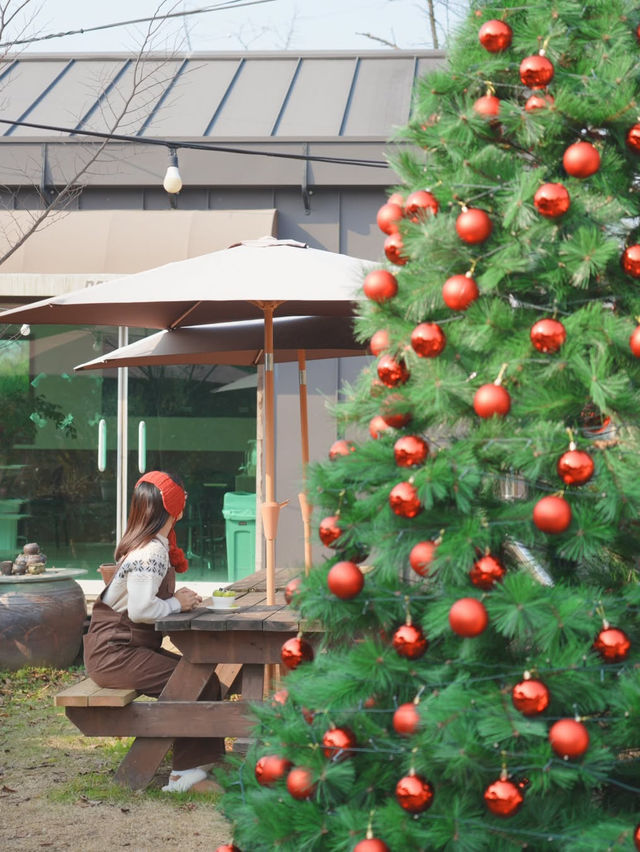 (실시간) 다래목장에 찾아온 크리스마스🎄❤️