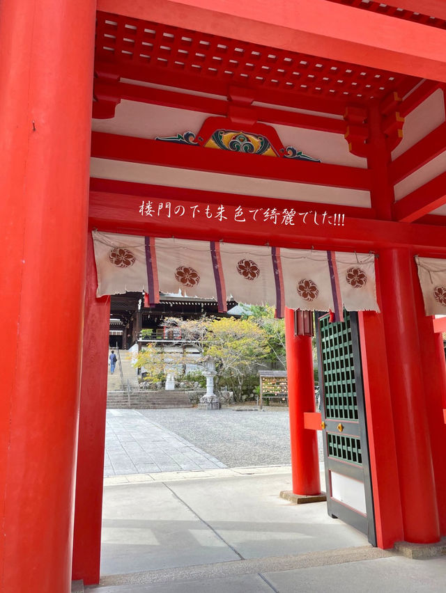 「ちはやふる」で有名な！かるたの聖地⛩️近江神宮