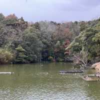 松江花鳥園的奇幻之旅