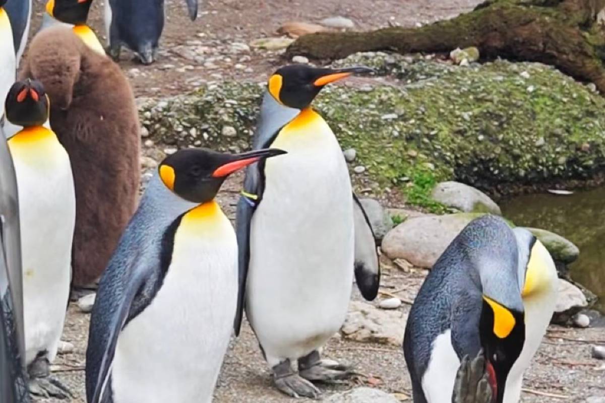 台北動物園