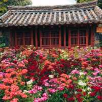 JEJU FOLK VILLAGE.
