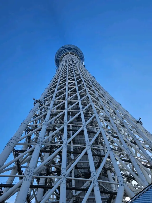 東京晴空塔 日本