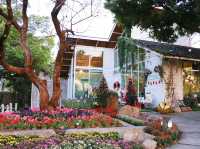 คาเฟ่สวนดอกไม้ Cakery 