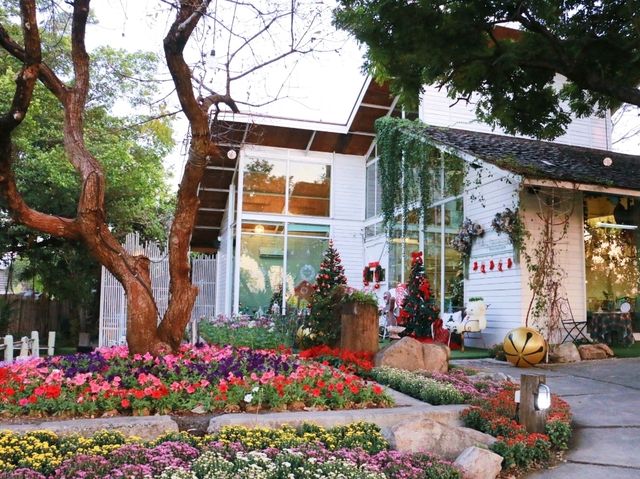 คาเฟ่สวนดอกไม้ Cakery 