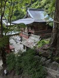 Tanzan Jinjia, Japan