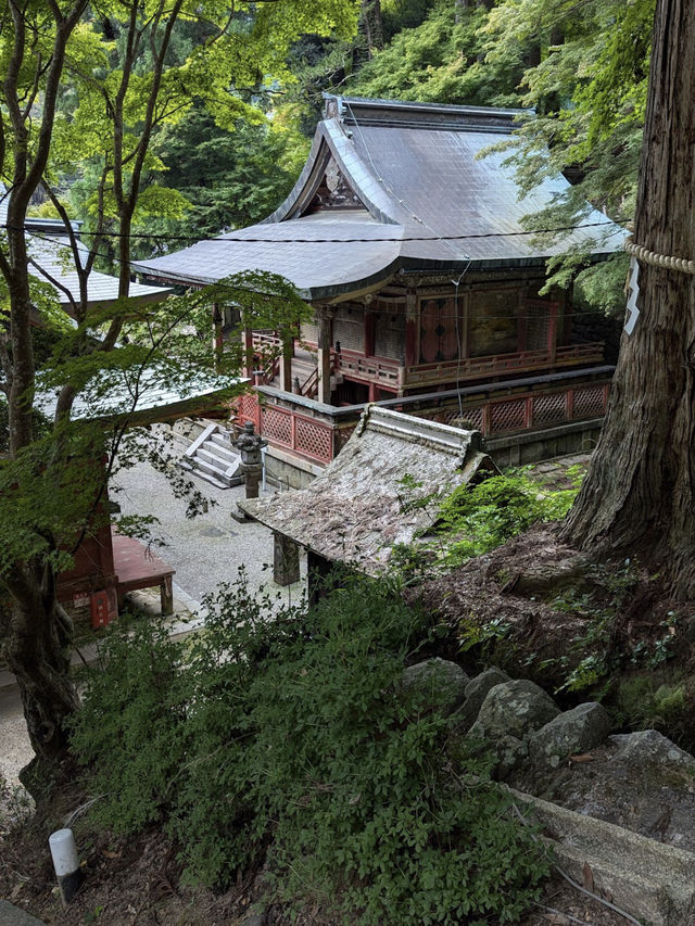 Tanzan Jinjia, Japan