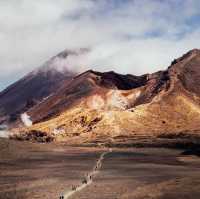 Conquering Tongariro Alpine Crossing: A Hiker’s Dream in New Zealand