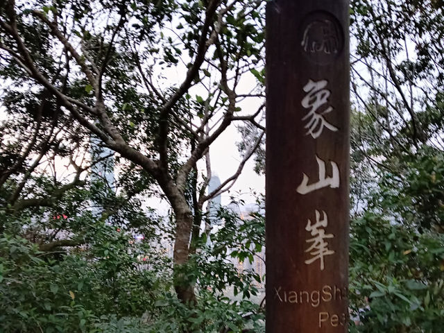 台北旅行　象山の夜景！