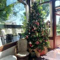 🏰 Within Khaoyai✨️🍰 คาเฟ่สวนหิน