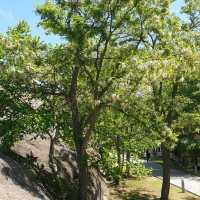 เมืองโบราณอุพลิสชิเค (Uplistsikhe)
