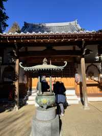 東京｜豪德寺！滿滿招財貓，萌到心花開！