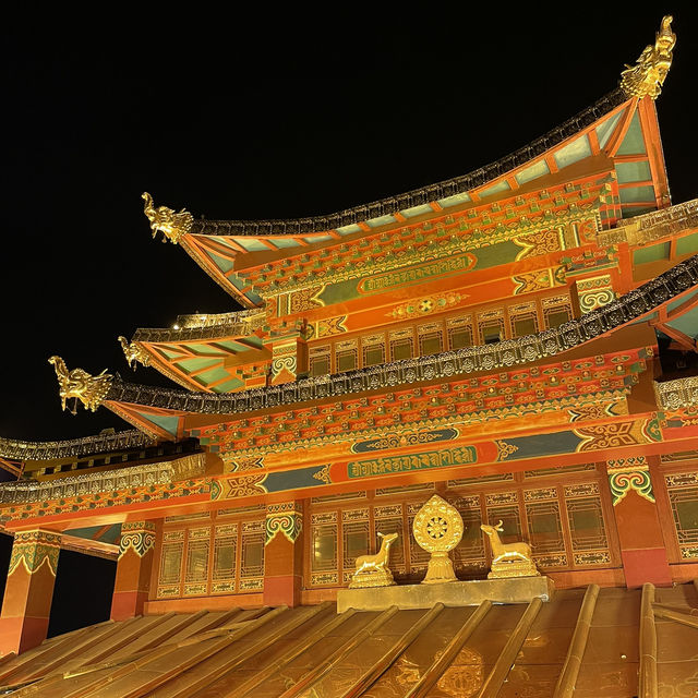 Starlit Escapade: Unveiling Guishan Park’s Nighttime Wonders