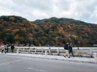 อาราชิยามา (Arashiyama)