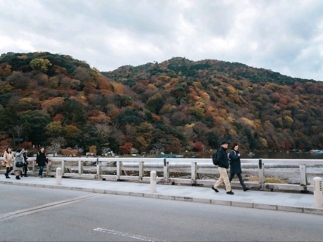 อาราชิยามา (Arashiyama)