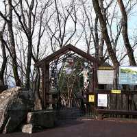 韓國大邱_ 必訪 팔공산 케이블카八公山纜車_享受楓紅黃杏 山巒間