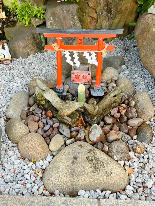 【東京】飛行機と神社のコラボ✨