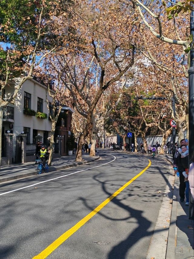 A Serene Stroll Through Shanghai
