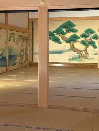 The Stunning Nagoya Castle, You Have To See It To Believe It! 🇯🇵 🏯🗾