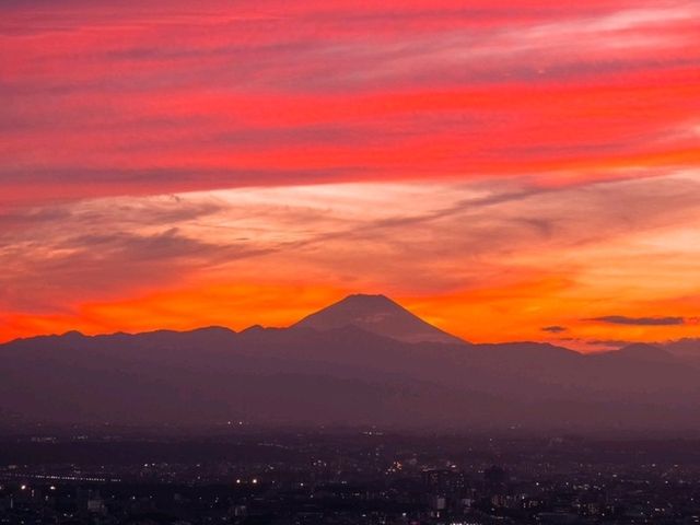 海外旅行客に大人気🗼渋谷スカイ