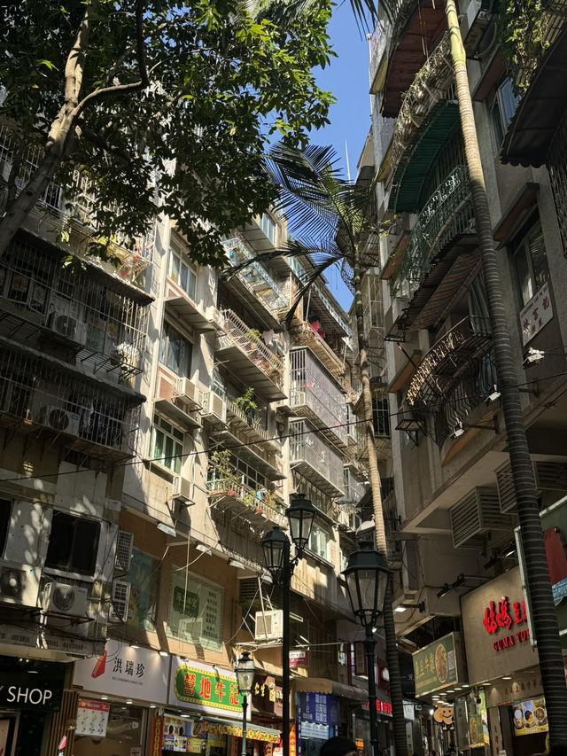 마카오 필수들‼️