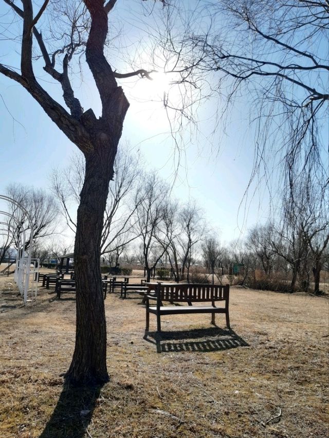 🌿 삼락생태공원, 자연 속에서 힐링하는 시간 🌞