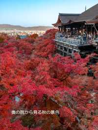混んでいても行きたい京都の定番【清水寺】