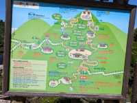 Miyajima Trip Highlights